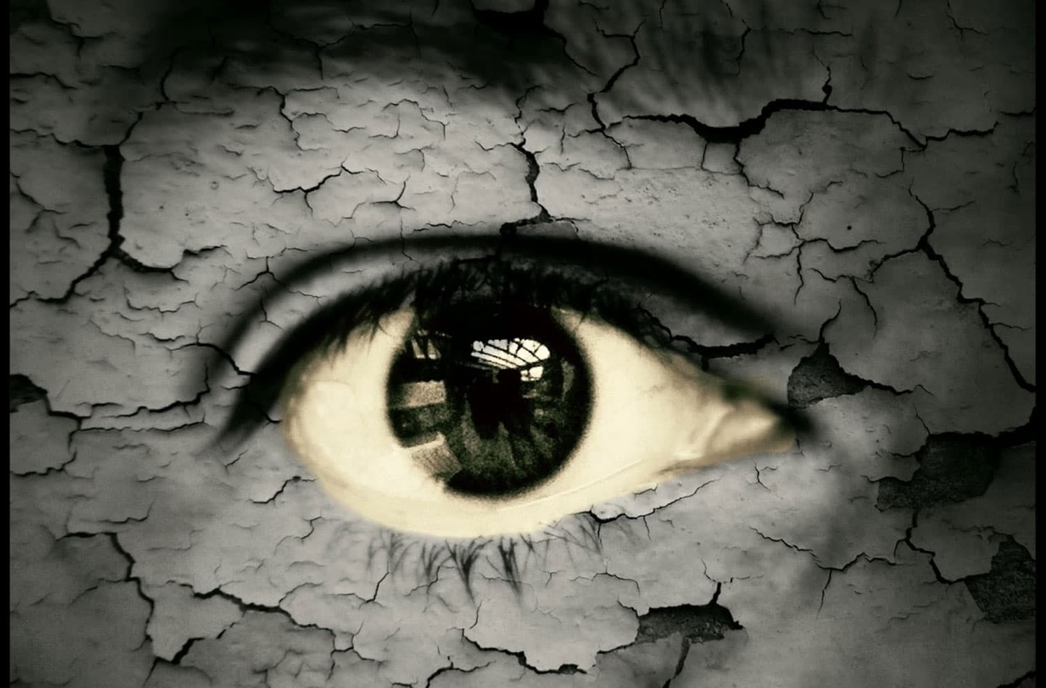 Visual Spatial Learners